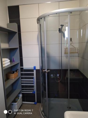 a shower with a glass door in a bathroom at mieszkanie na wrzosowej in Kruklanki