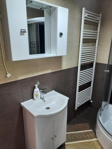 Koupelna v ubytování Casa Poiana Largului