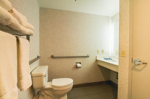 a bathroom with a toilet and a sink at Holiday Inn Express & Suites - Lincoln East - White Mountains by IHG in Lincoln