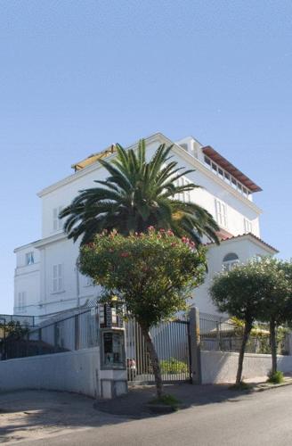 a white house with a palm tree in front of it at Excelsior Mare Suite in Ischia
