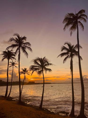 a group of palm trees on the beach at sunset at Beach Eco Stays Hotel Boutique Lagoinha in Tigre