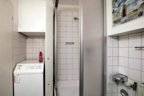 La petite salle de bains est pourvue d'un réfrigérateur et d'une douche. dans l'établissement Sandwall 2_ Whg_ 6, à Wyk auf Föhr