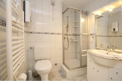 a bathroom with a toilet and a shower and a sink at Koenigstr_5_ Whg_ 7_ Atlantischer in Wyk auf Föhr