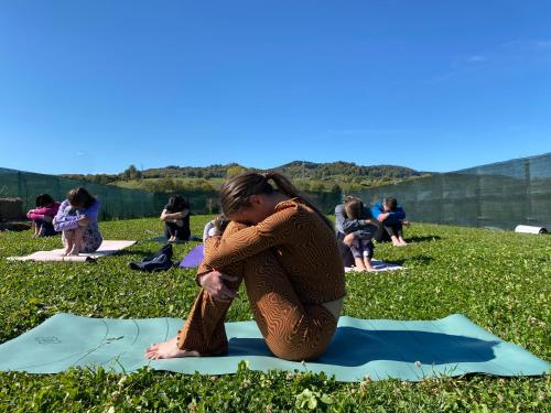 Tetamu yang menginap di Glamping Iurte Mongole Spiritul Zimbrului