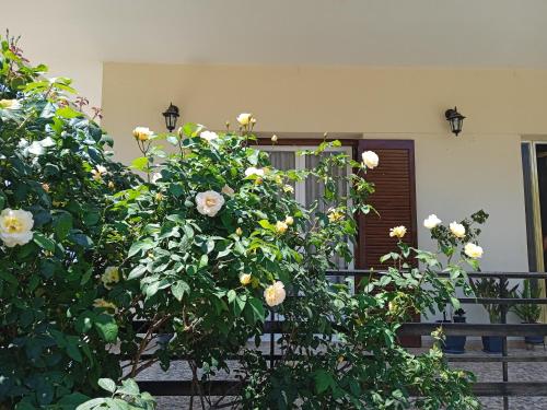 a bush of roses in front of a house at Serene Country House (near Ancient Tiryns) in Nafplio