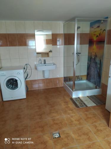 a bathroom with a washing machine and a sink at Apartament Anna in Bachowice