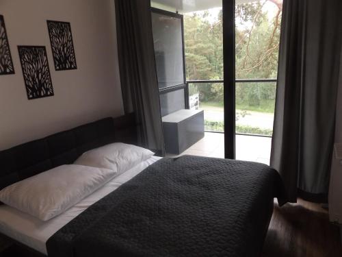 1 dormitorio con cama y ventana grande en Apartament Dorka, en Rogowo