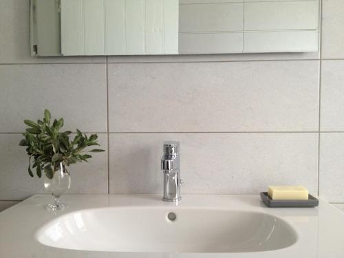 a bathroom sink with a faucet and a plant on it at Aνεξάρτητη παραδοσιακή πέτρινη κατοικία in Kórinthos