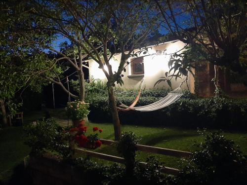 a hammock hanging from a tree in a yard at B&B degli Allori in Moggiona