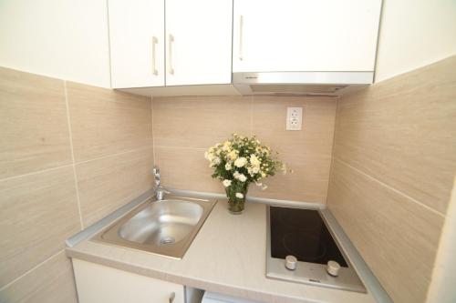 una pequeña cocina con fregadero y un jarrón de flores en Apartment Central, en Belgrado
