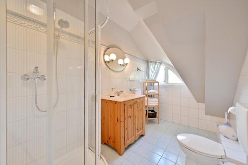 a bathroom with a shower and a sink and a toilet at Landhaus Vilmnitz - Wohnung 7 in Vilmnitz