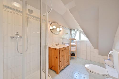 a bathroom with a shower and a sink and a toilet at Landhaus Vilmnitz - Wohnung 10 in Vilmnitz