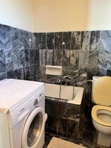 a bathroom with a washing machine and a toilet at Καλοκαιρινό σπίτι στο Σίγρι in Sígrion