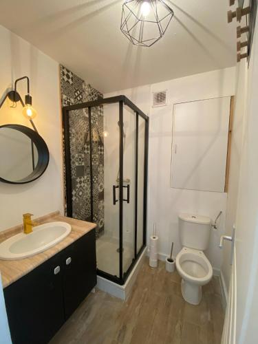 une salle de bain avec toilettes, lavabo et douche dans l'établissement Studio brignoles PISCINE emplacement idéal, à Brignoles