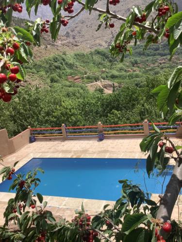 two photos of a swimming pool in front of a mountain at Jnane Karma in Imlil