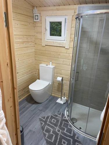 a small bathroom with a toilet and a shower at Hilltop Hideaway in Donegal