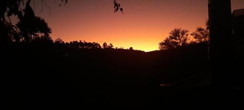 a silhouette of a sunset with trees in the background at QuiCupimNunCria in Miguel Pereira