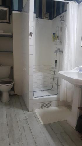une salle de bain avec une douche, des toilettes et un lavabo dans l'établissement 1er etage privatif dans une maison, à La Colle-sur-Loup