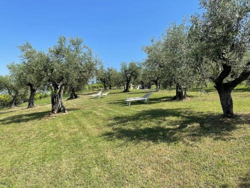 two park benches sitting in a field with trees at Locanda Belvedere in Saludecio