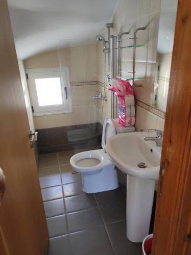a bathroom with a toilet and a sink at VILLA SERAPHO in Paphos