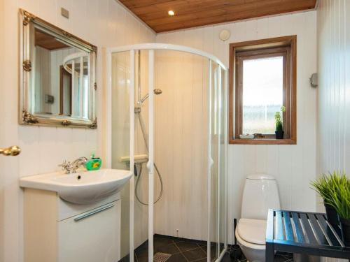 W łazience znajduje się prysznic, umywalka i toaleta. w obiekcie Three-Bedroom Holiday home in Børkop 9 w mieście Egeskov