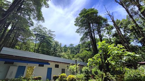 Gallery image of Meinong Forest Starlight Lodge in Meinong
