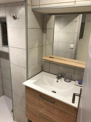 une salle de bain avec un lavabo et un miroir dans l'établissement Le jardin, à Aix-en-Provence