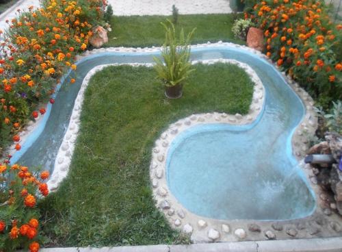 a small swimming pool in a garden with flowers at Apartments Tomic in Ohrid