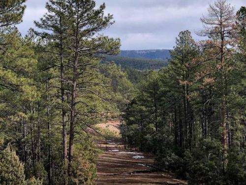Un paisaje natural cerca de la casa vacacional