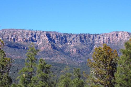 a view of a mountain with trees in the foreground at Forest Cabin 3 Bear's Den in Payson