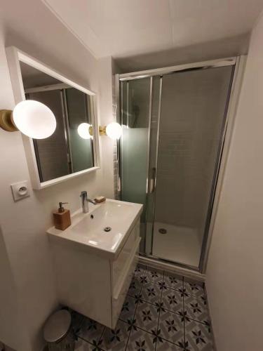une salle de bain avec un lavabo et une douche dans l'établissement LA MAISON DU LAC, à Doussard