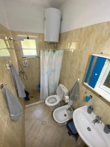 a bathroom with a toilet and a sink at Eldi's Apartment in Golem