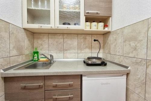 a kitchen counter with a sink and a toaster at Apartments Tomic in Ohrid