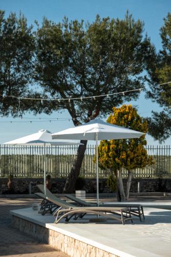 Fotografie z fotogalerie ubytování Otto Apulia House B&B v destinaci Andria