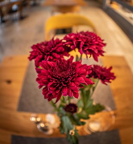 a vase filled with red flowers on a table at Hotel Novy Kastiel - Self check-in in Topoľčany