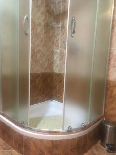 eine Dusche mit Glastür im Bad in der Unterkunft Manuela in Ližnjan