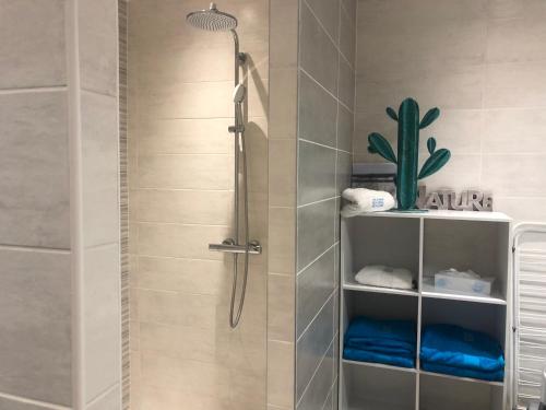 eine Dusche im Bad mit einem Kaktus an der Wand in der Unterkunft Appartement cosy au calme in Chindrieux
