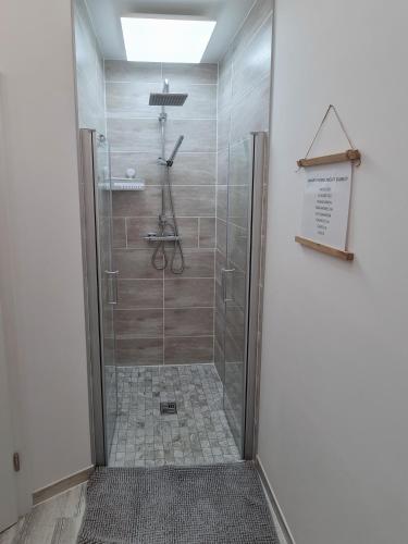 a shower with a glass door in a bathroom at Ferienwohnung Manuela & Daniel Hiebl in Thalmässing