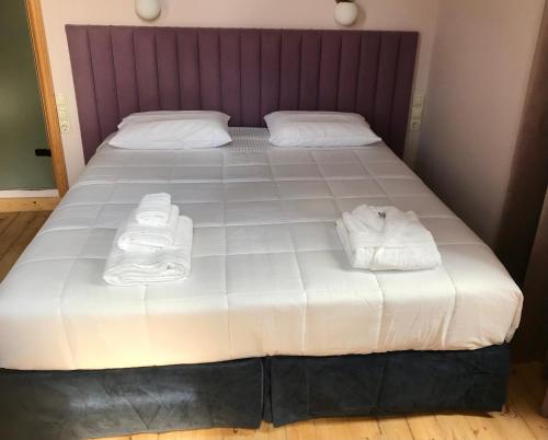 Ένα ή περισσότερα κρεβάτια σε δωμάτιο στο VASILIKON Hotel the past is present