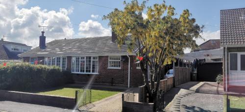 a house with a tree in front of it at Spring Gardens Holiday Bungalow in Cayton