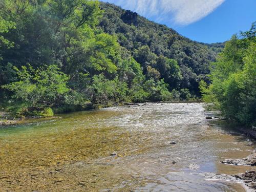 a river in the middle of a forest at La Bastide Bleue in Anduze
