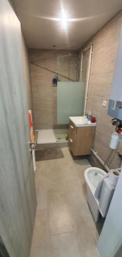 a bathroom with a shower and a sink and a toilet at Studio cosy proche parc expo et aéroport cdg neuf in Villepinte