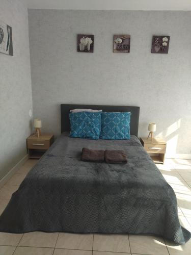 une chambre avec un grand lit avec des oreillers bleus dans l'établissement Fleur d'orchidée studio 99, à Sens