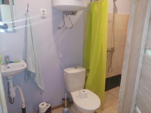 een badkamer met een toilet, een wastafel en een douche bij Niedres 