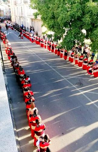 a group of dogs lined up in a row on a street at B&B Santu Giuvanni "Un tuffo nel passato Fonnese" in Fonni