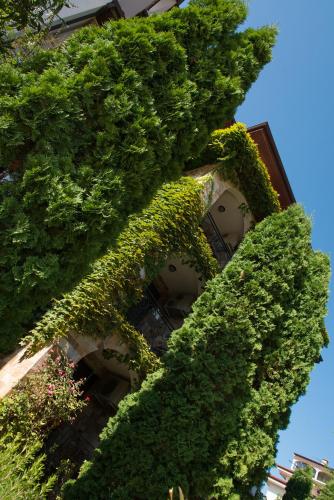Esteban VIP Residence Club – Photos 5