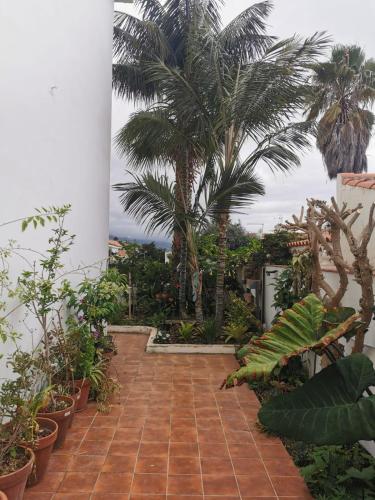 Fotografie z fotogalerie ubytování jardin44 v destinaci Santa Úrsula