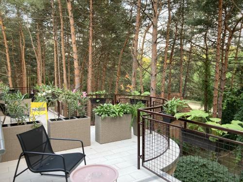 a patio with a chair and some plants and trees at Vila Dunavski Raj in Golubac