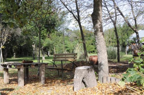 a park with a wooden bench and a tree at Hotel Monte Regina in Vera