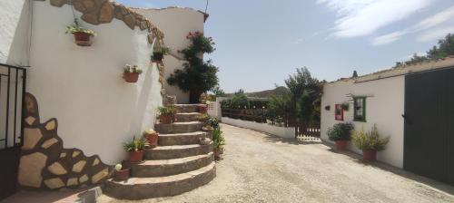 a courtyard with stairs and potted plants on the side of a building at Cueva de la abuela in Los Carriones